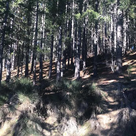 Casa Pizzuti Longobucco