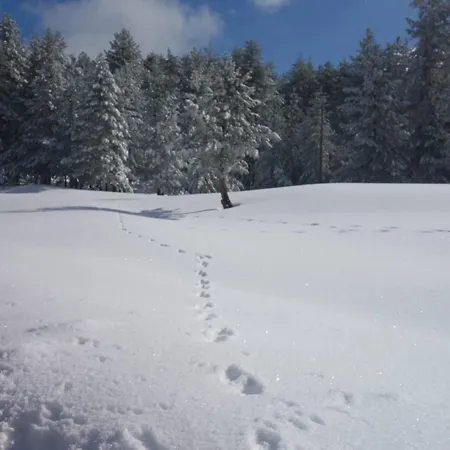 Casa Pizzuti Apartamento *