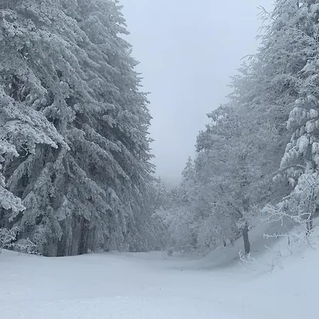 Casa Pizzuti Apartamento