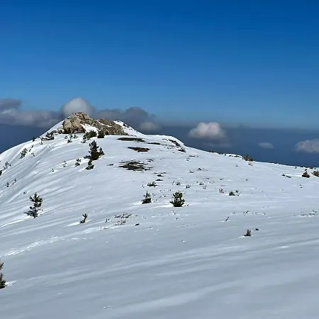 Apartamento Casa Pizzuti *